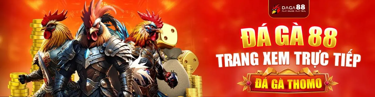Đá Gà kbet trực tuyến