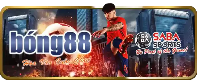 Nghiên cứu kỹ lưỡng trước trận đấu